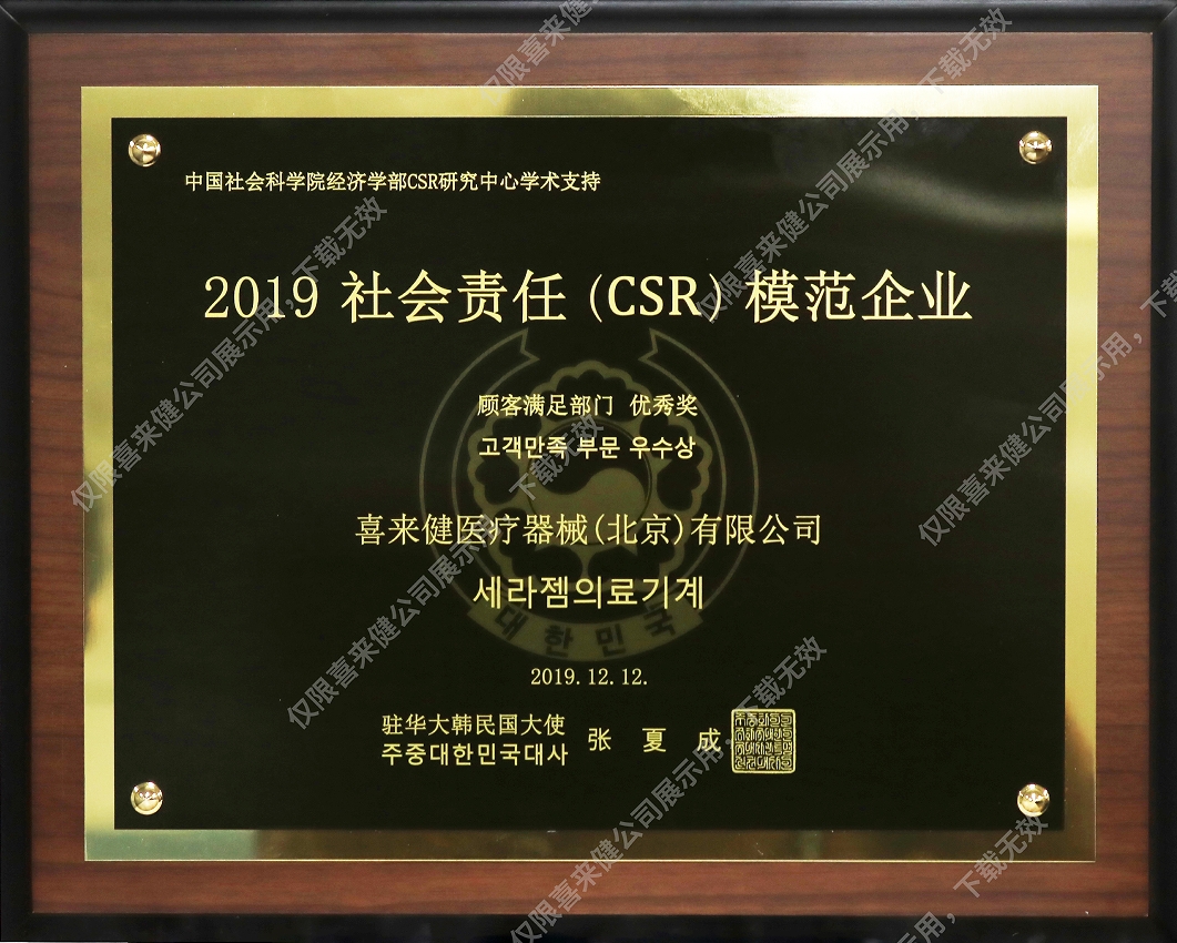 2019年社会责任(CSR)模范企业奖牌